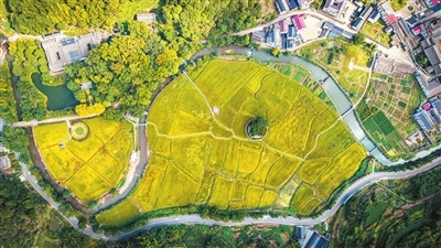 “豐”景如畫好年景